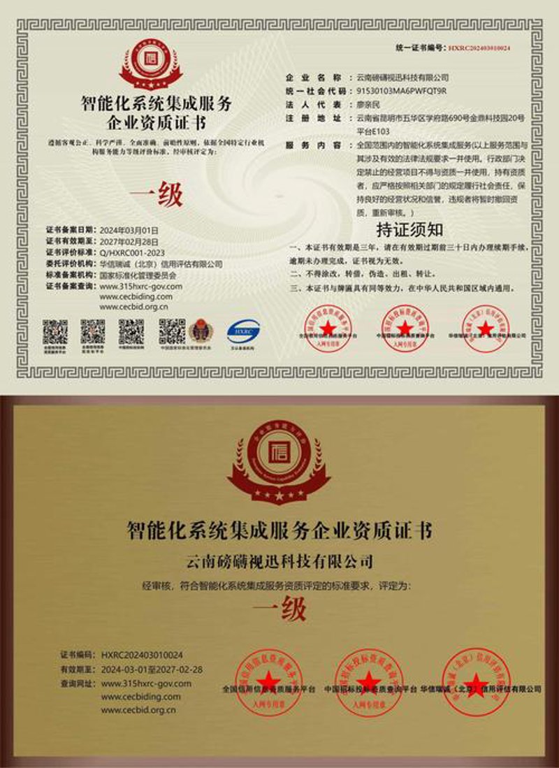 探索系统集成商在信息化时代的角色与价值